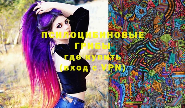бошки Алексеевка