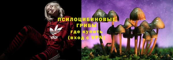 бошки Алексеевка